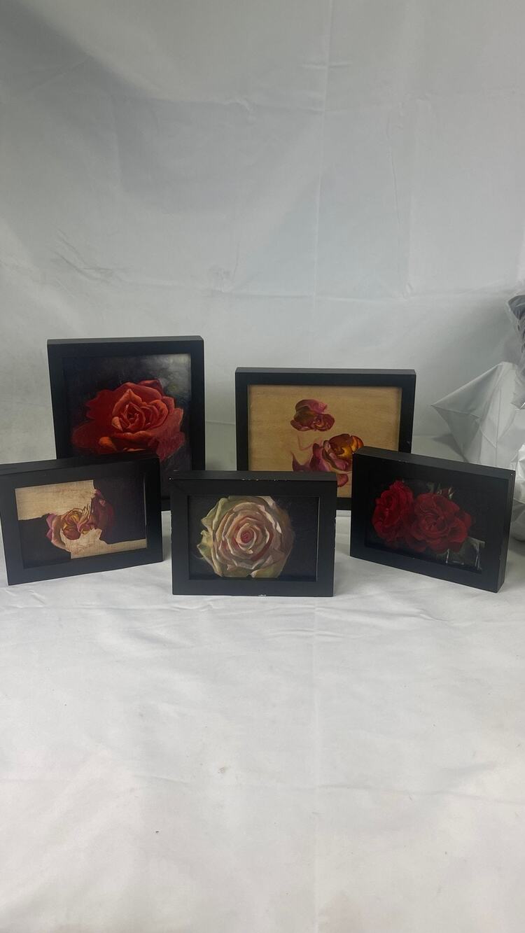 Set of 5 Original Hand Painted Rose Flower Paintings Framed Floral Wall Art Deco